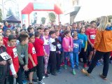 IMG 20161211 01497 640x480